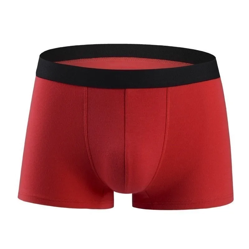 Cotton Casual Men's Underpants Boxers