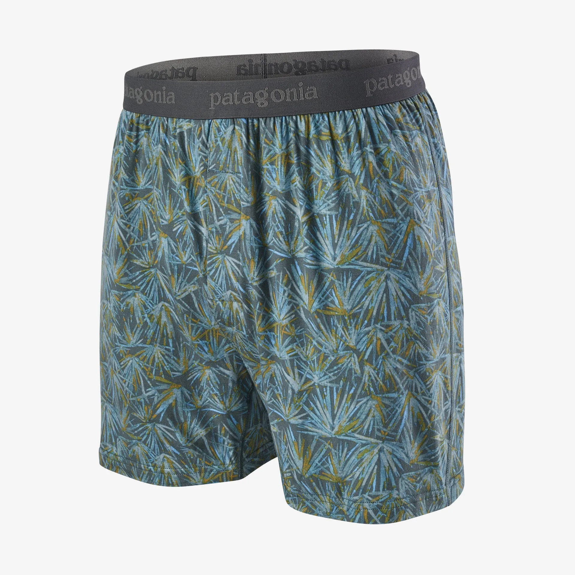 Men's Patagonia Essential Boxers